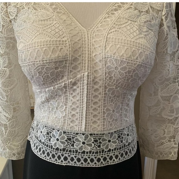 NEW TADASHI SHOJI V Neck Lace Stretch Crepe Gown - Picture 3 of 8